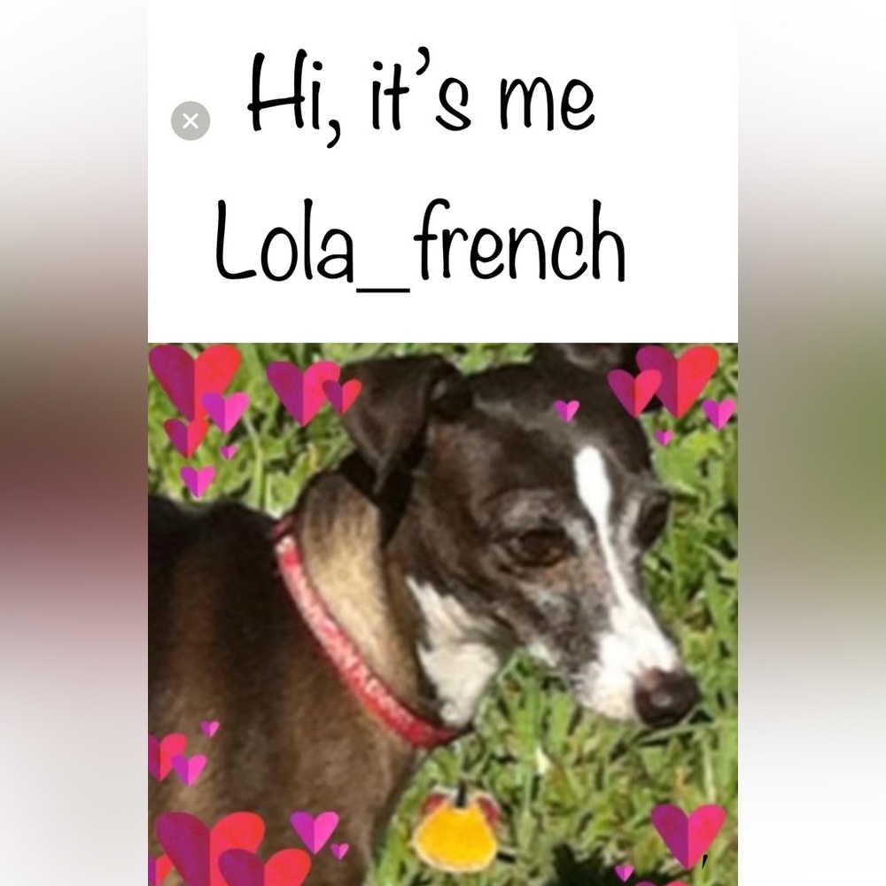 305. Lola is live tonight! Like this listing to stay updated on my live show!!!
